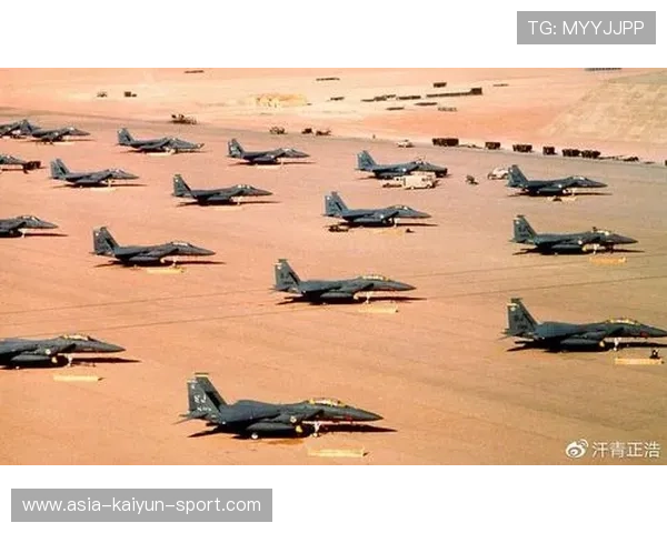 突尼斯希望反击迅猛，制造威胁，突尼斯事件发生在哪一年